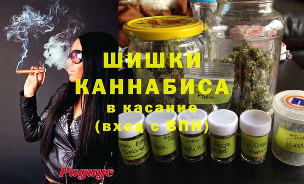 ПСИЛОЦИБИНОВЫЕ ГРИБЫ Архангельск