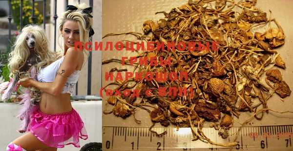 гидра Балашиха