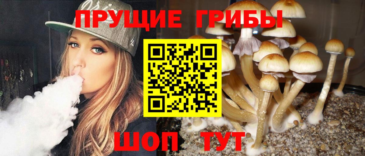 Псилоцибиновые грибы мухоморы Рязань