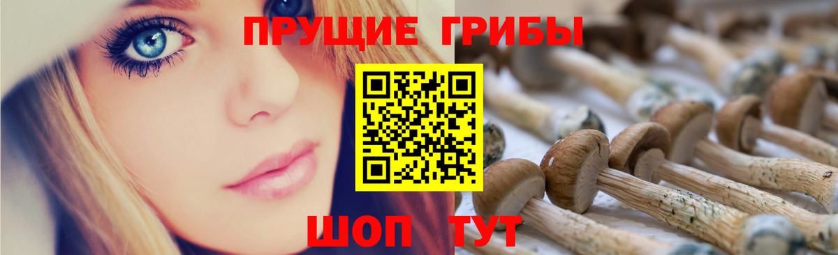 Рязань  Псилоцибиновые грибы мухоморы  Вход с VPN 